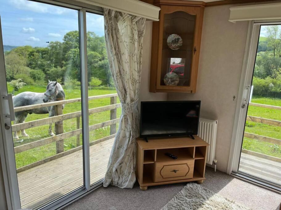 Farm Stay Caravan On Working Farm Dacre  المظهر الخارجي الصورة